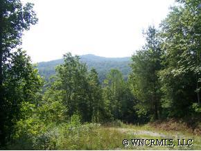 1 Sweetwater Ridge Road Balsam Grove, NC 28708 - Photo 1 of 1 Gallery Image 1