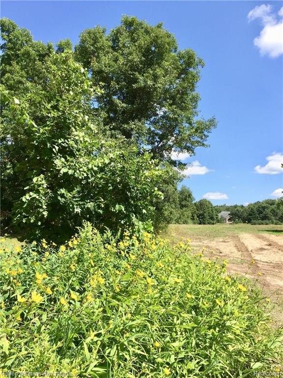 0 Wooley Road Oxford, MI 48371 - Photo 6 of 8