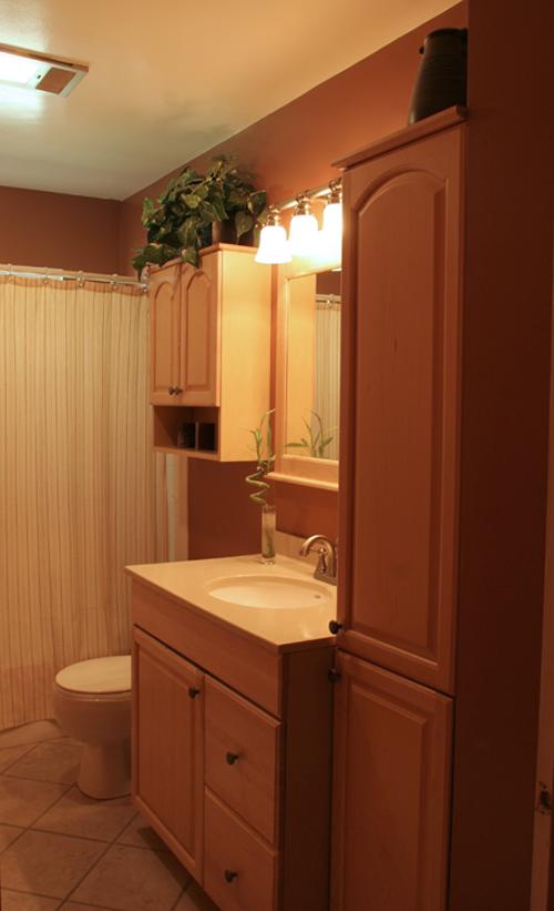 505 Olney Road Vinton, VA 24179 - Photo 11 of 29 a bathroom with a sink a toilet and shower