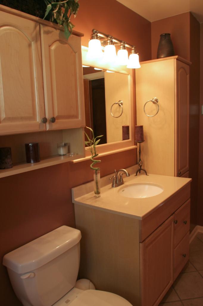 505 Olney Road Vinton, VA 24179 - Photo 12 of 29 a bathroom with a toilet sink and mirror