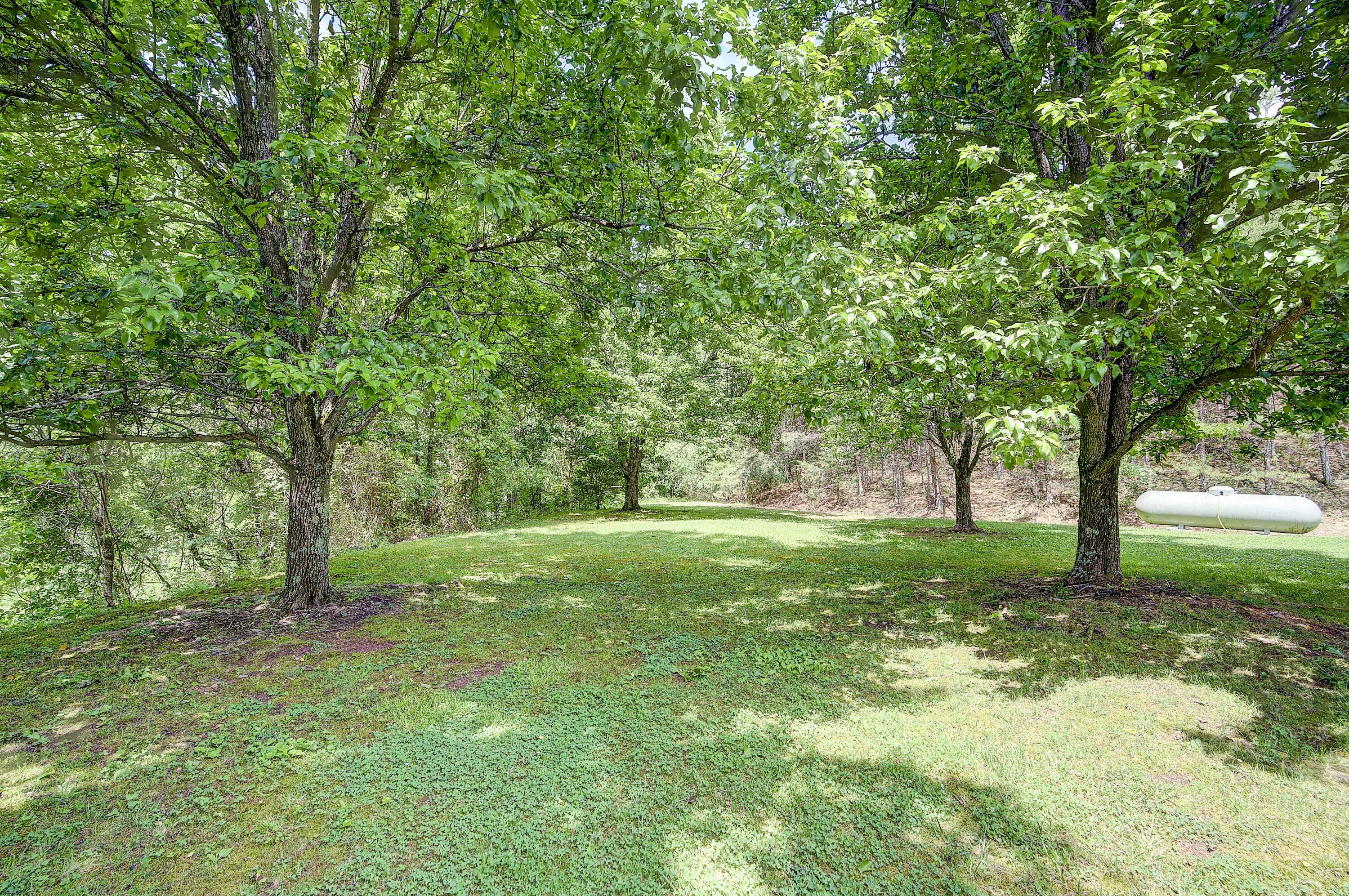 633 Rock Hill Road Watauga, TN 37694 - Photo 45 of 59 RockHill--38