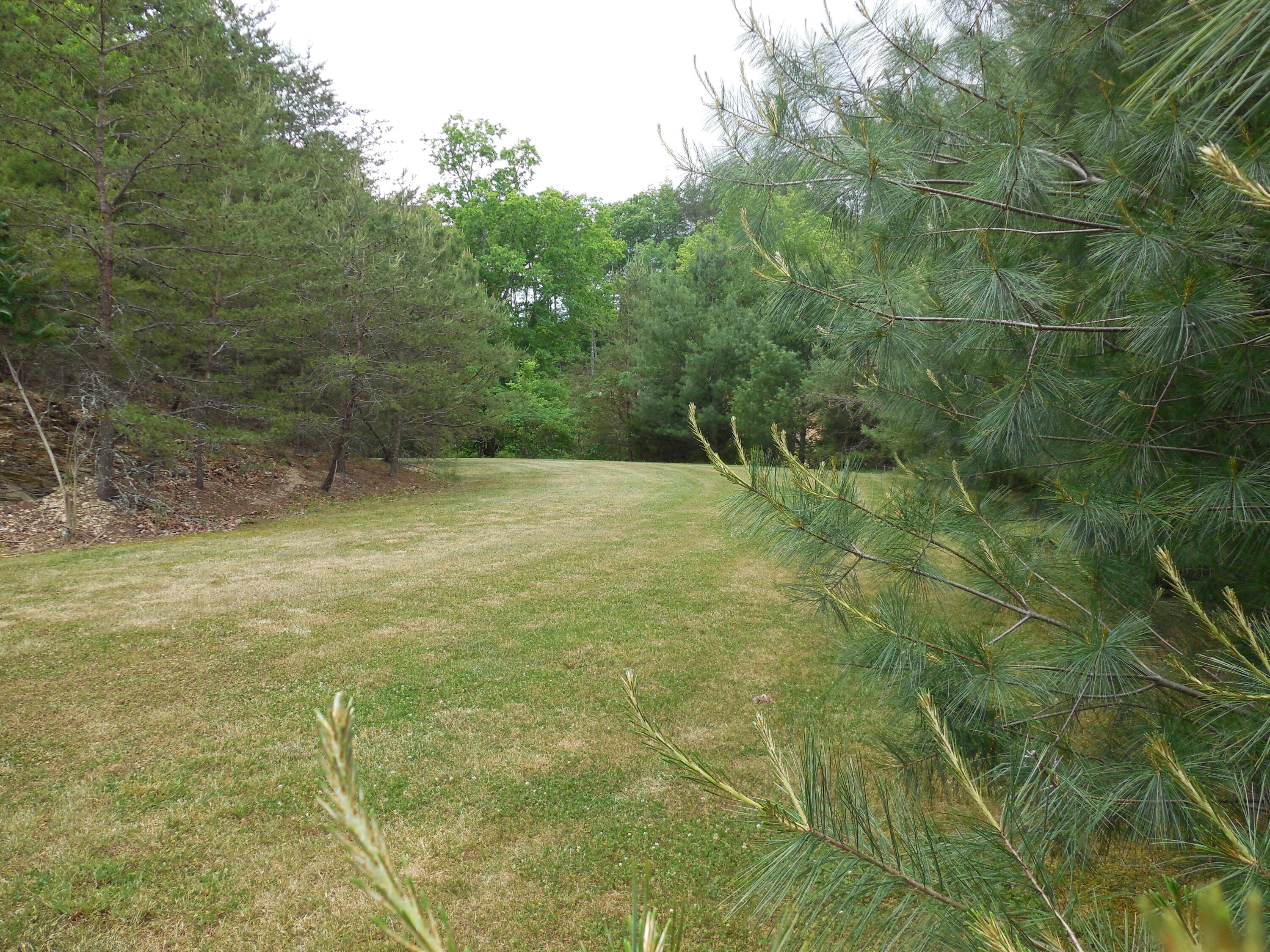 633 Rock Hill Road Watauga, TN 37694 - Photo 54 of 59 DSCN3003