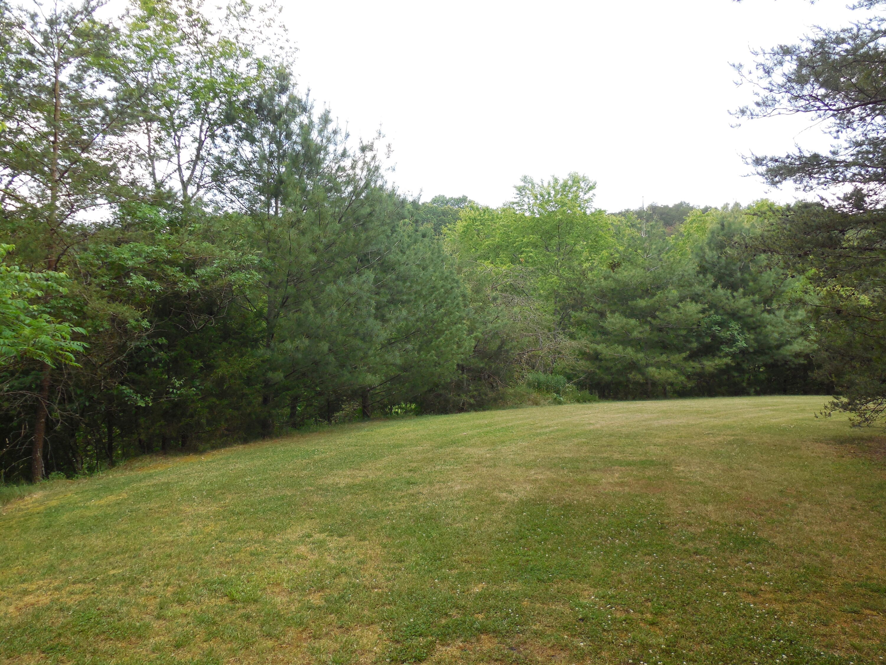 633 Rock Hill Road Watauga, TN 37694 - Photo 55 of 59 DSCN3006