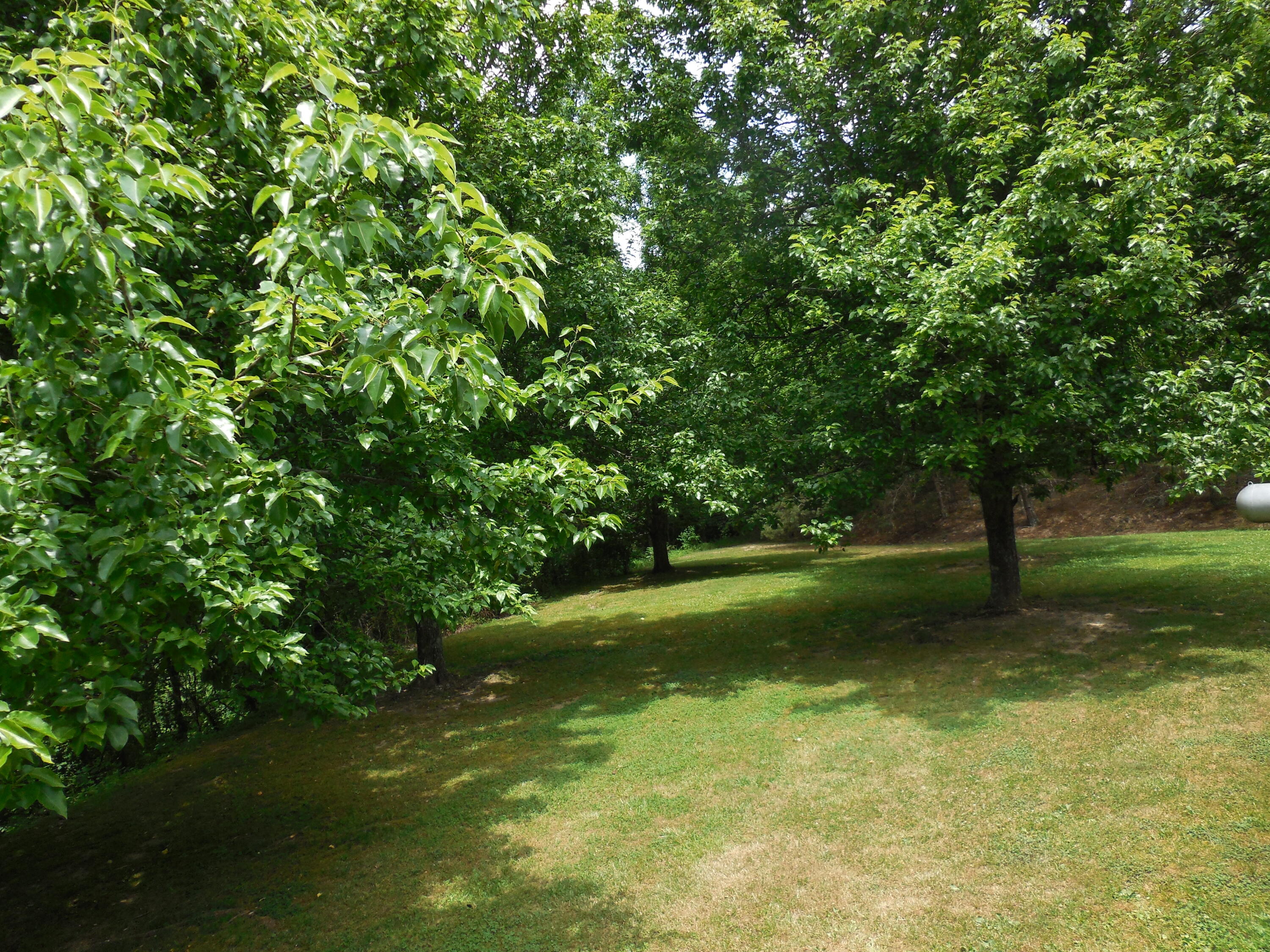 633 Rock Hill Road Watauga, TN 37694 - Photo 56 of 59 DSCN2993