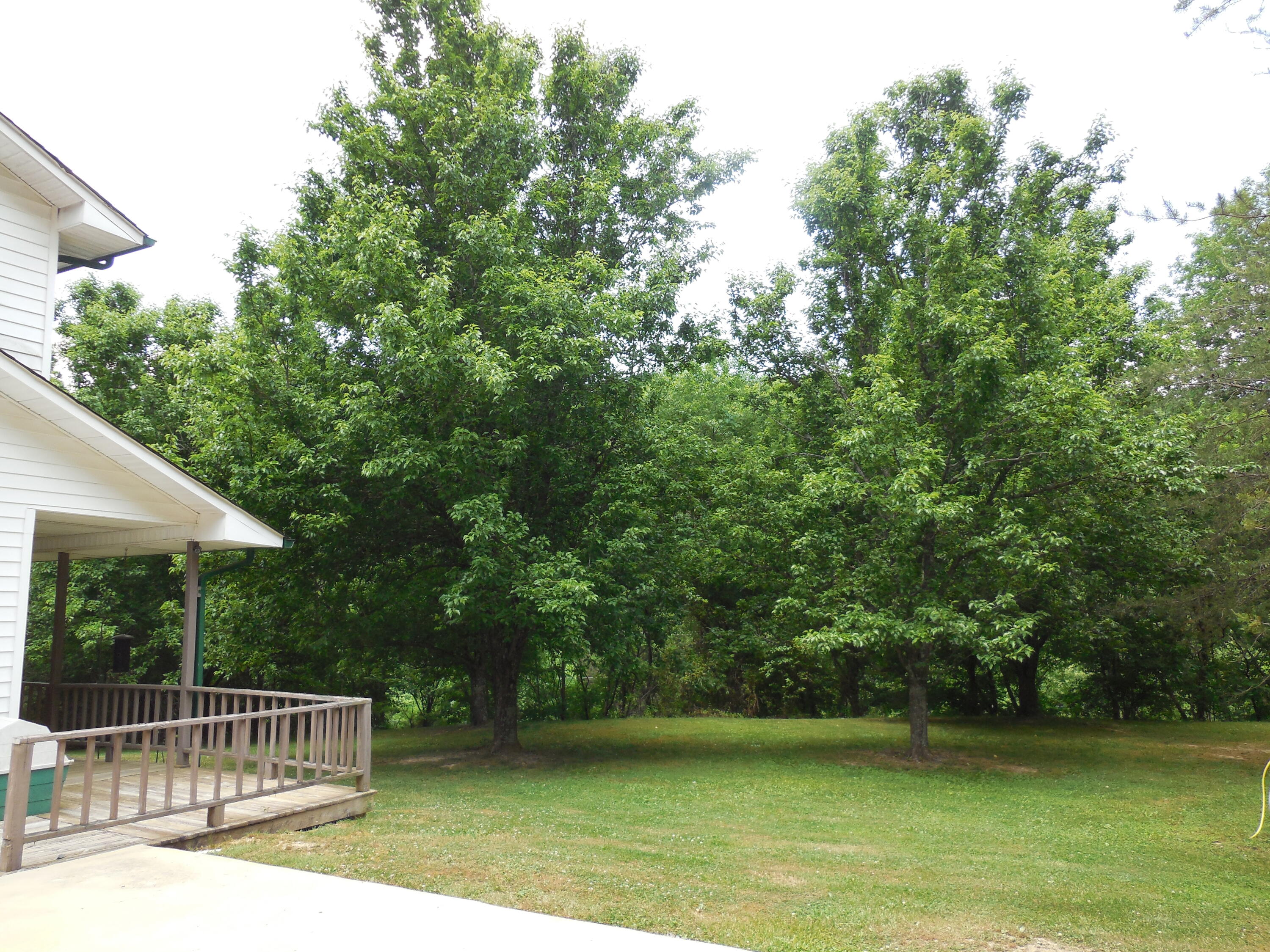 633 Rock Hill Road Watauga, TN 37694 - Photo 57 of 59 DSCN2995