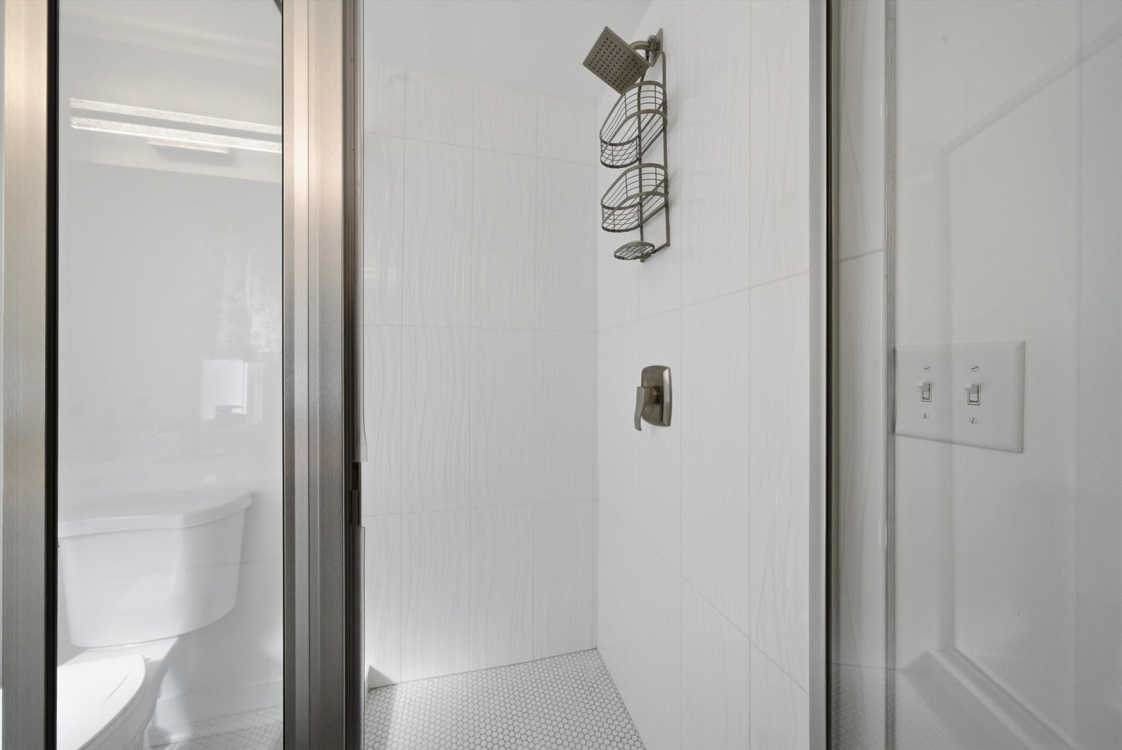 4636 Custer Avenue Brookfield, IL 60513 - Photo 10 of 23 a bathroom with a glass door