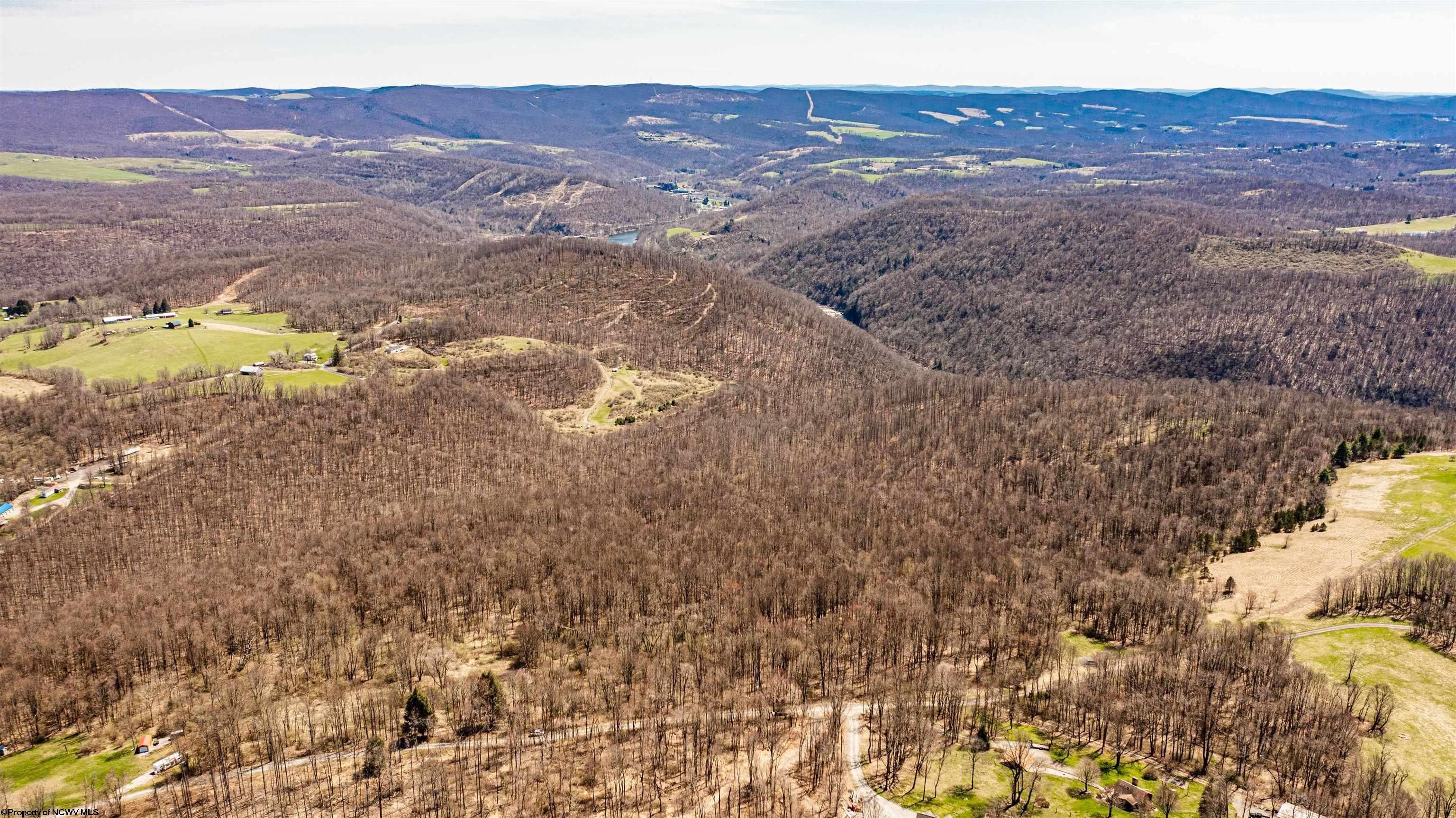 0 Bear Ridge Albright, WV 26519 - Photo 3 of 11 Gallery Image 3