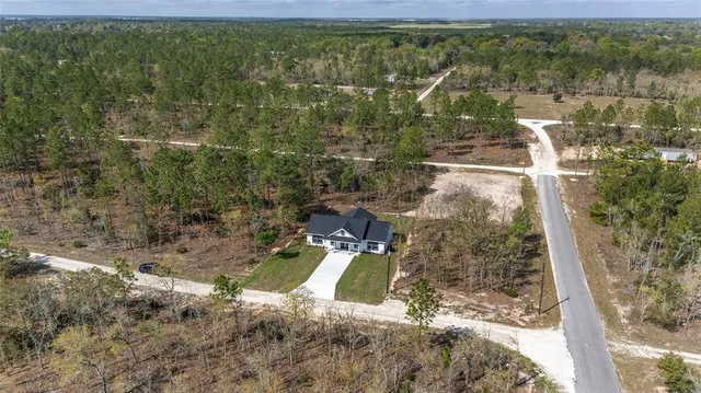a view of yard with large trees