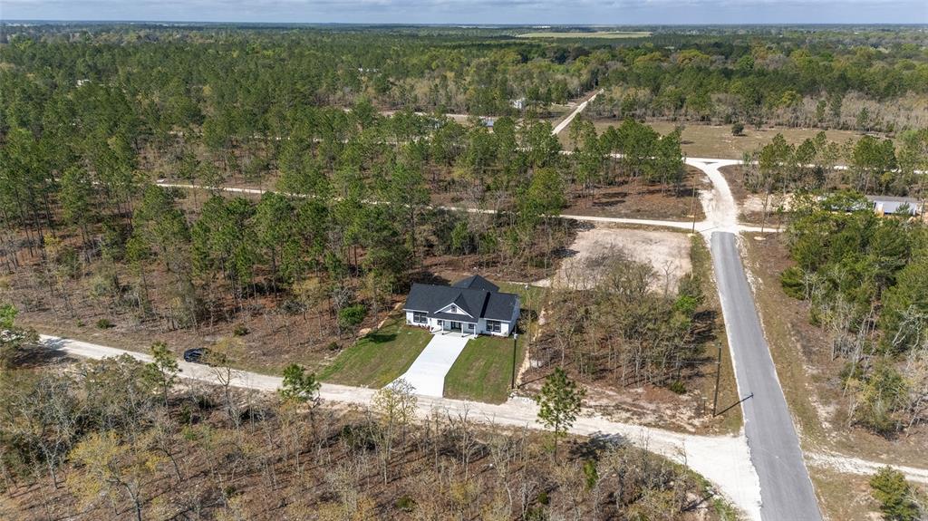 1370 Northeast 151 Avenue Williston, FL 32696 - Photo 43 of 51 a view of yard with large trees