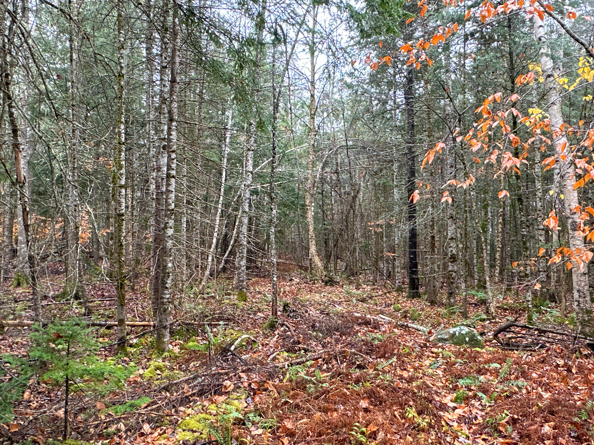 M6-l34 Rabbit Path Corinth, ME 04427 - Photo 14 of 16 Photo Oct 30 2023, 11 54 42 AM