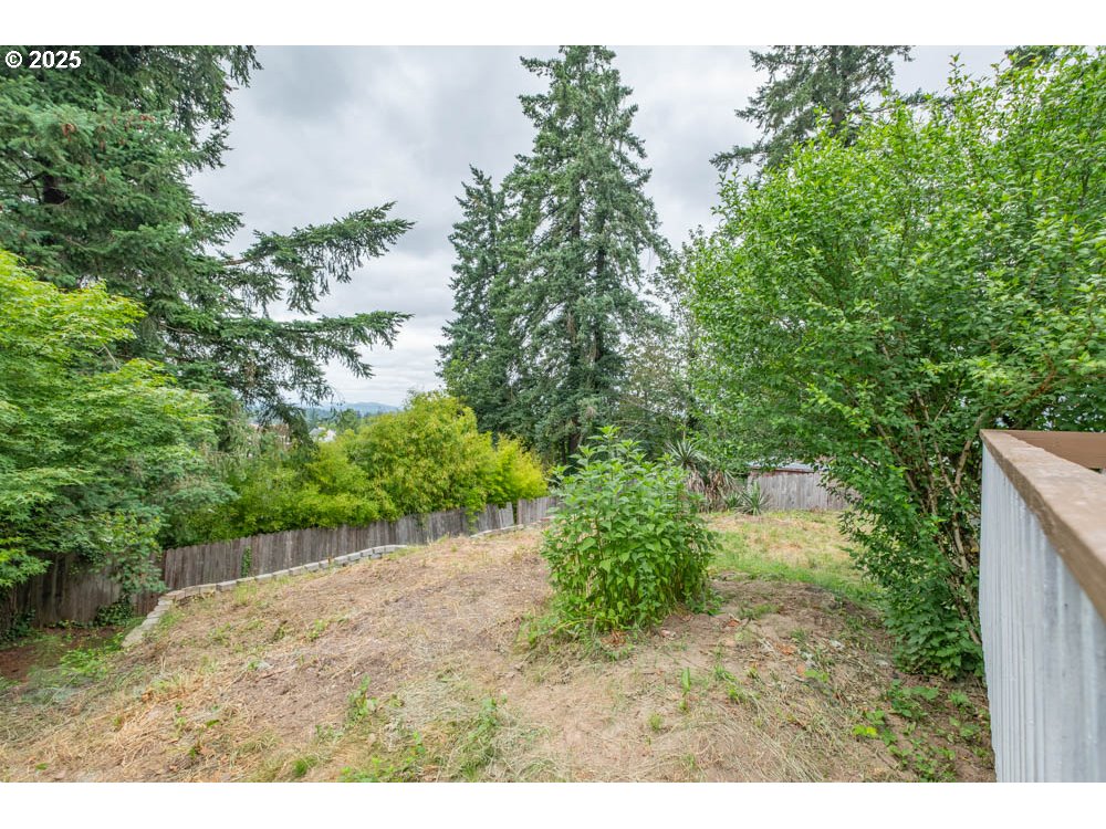 609 Van Buren Street Oregon City, OR 97045 - Photo 33 of 34 a view of a yard with plants and large trees