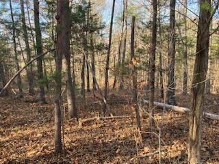 0 Holly Glen Road, Unit 55 Decatur, TN 37322 - Photo 2 of 9 IMG_7452