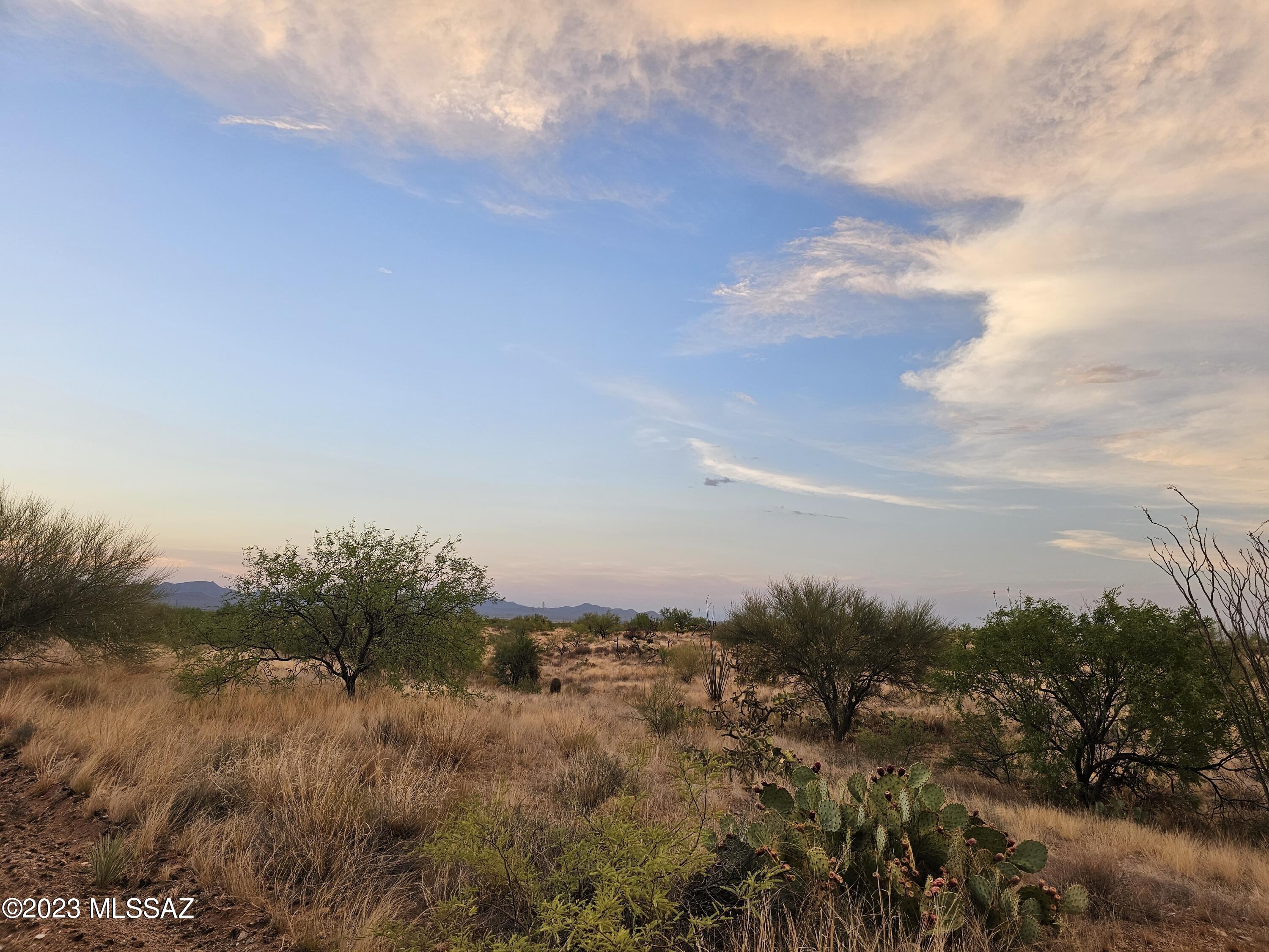 15380 West Diamond Bell Ranch Road, Unit 294 Tucson, AZ 85736 - Photo 3 of 9 Gallery Image 3