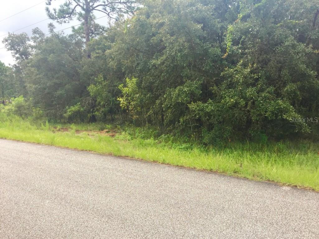 Kerry Hills Spring Hill Spring Hill, FL 34610 - Photo 1 of 1