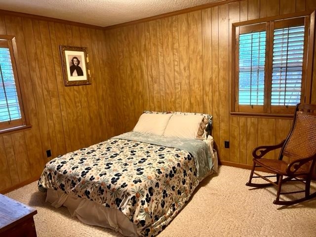 203 10th Avenue Atmore, AL 36502 - Photo 9 of 35 Primary Bedroom