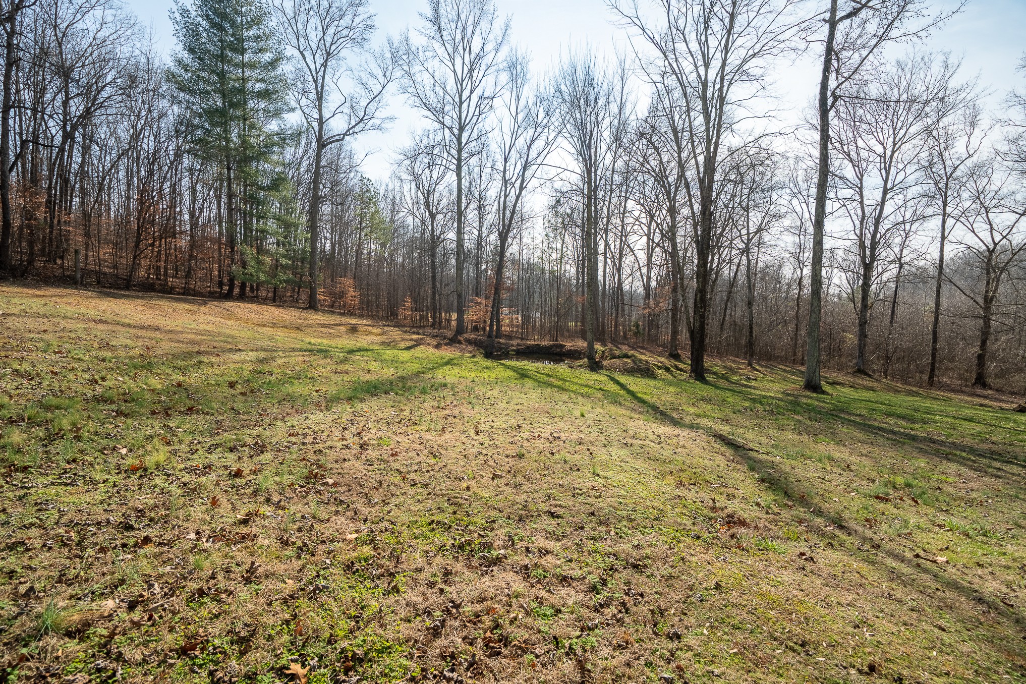 75 Buie Road Summertown, TN 38483 - Photo 24 of 27 a backyard of a house with large trees