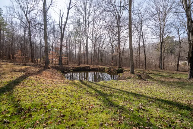 a view of swimming pool with chairs and trees