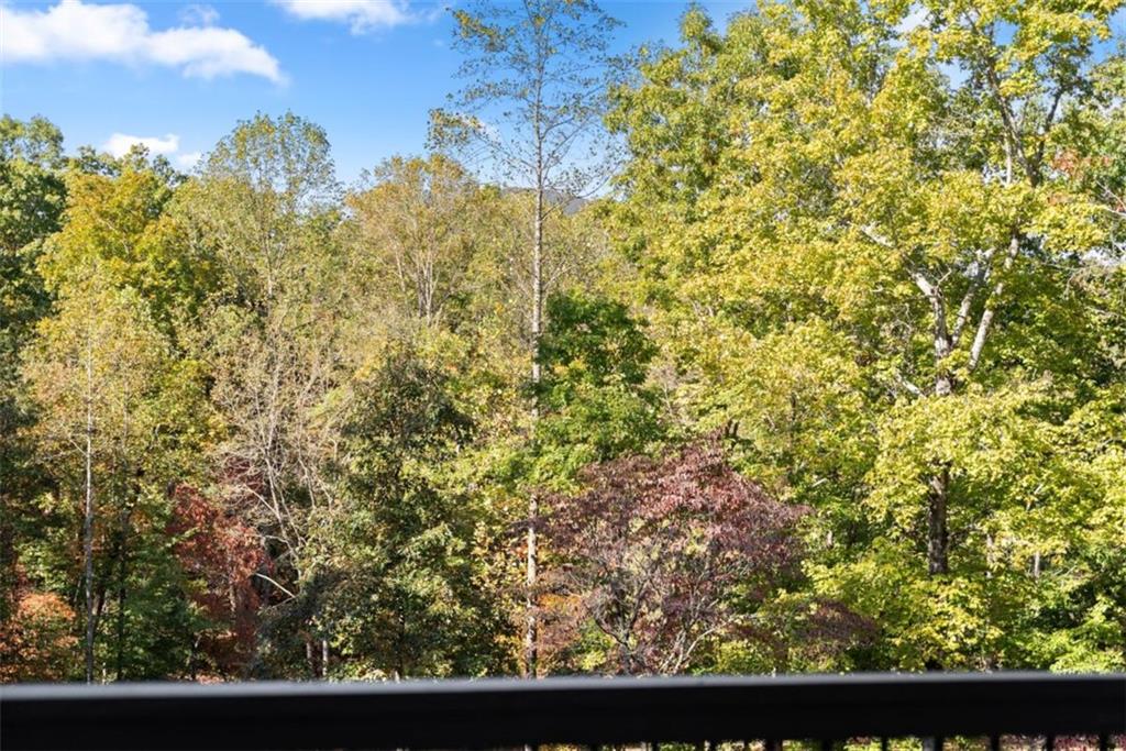 2123 Goat Neck Road Cleveland, GA 30528 - Photo 50 of 66 a view of a back yard of the house