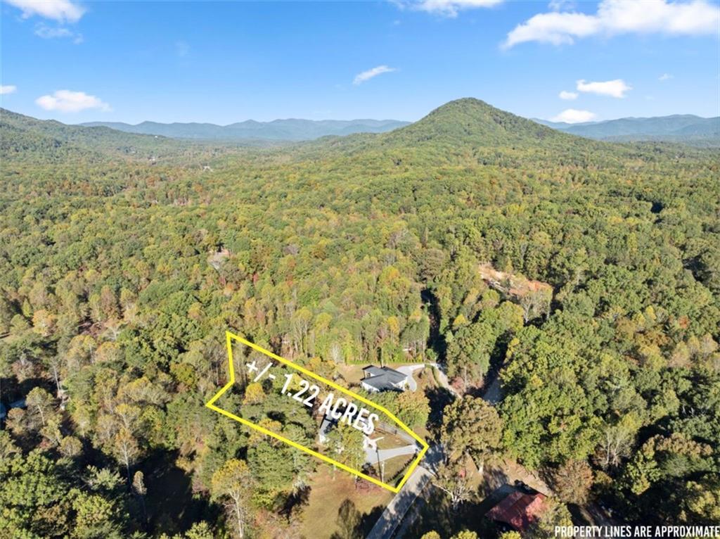 2123 Goat Neck Road Cleveland, GA 30528 - Photo 62 of 66