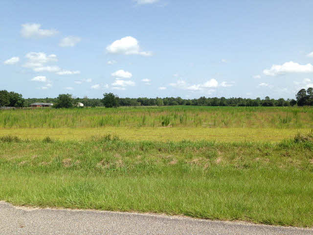 0 West Heidelberg Road West Robertsdale, AL 36567 - Photo 1 of 1