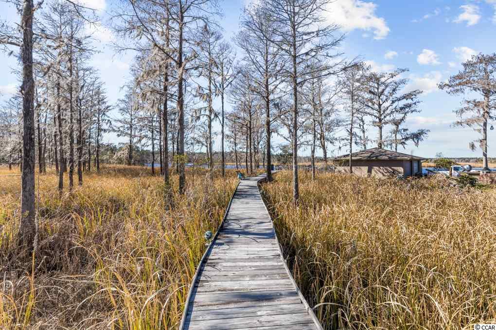 223 Freeman Drive Georgetown, SC 29440 - Photo 29 of 40 Gallery Image 29