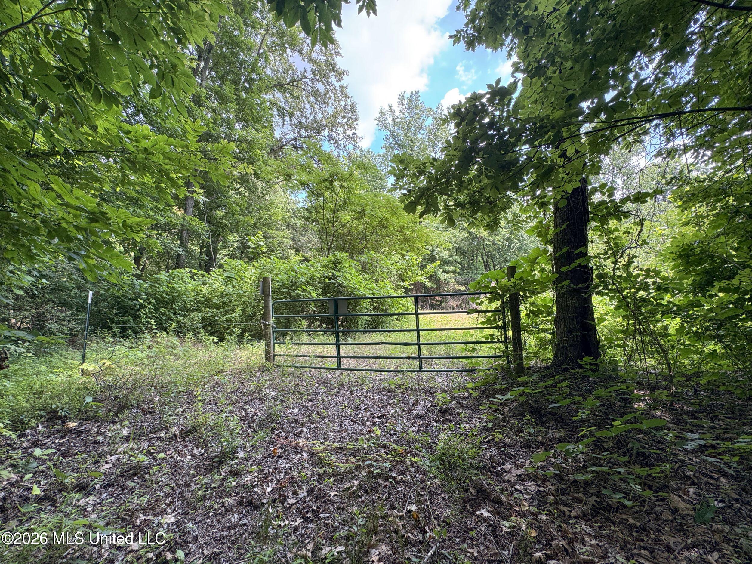 884 Avant Road Crenshaw, MS 38621 - Photo 134 of 154 6dbyicr83