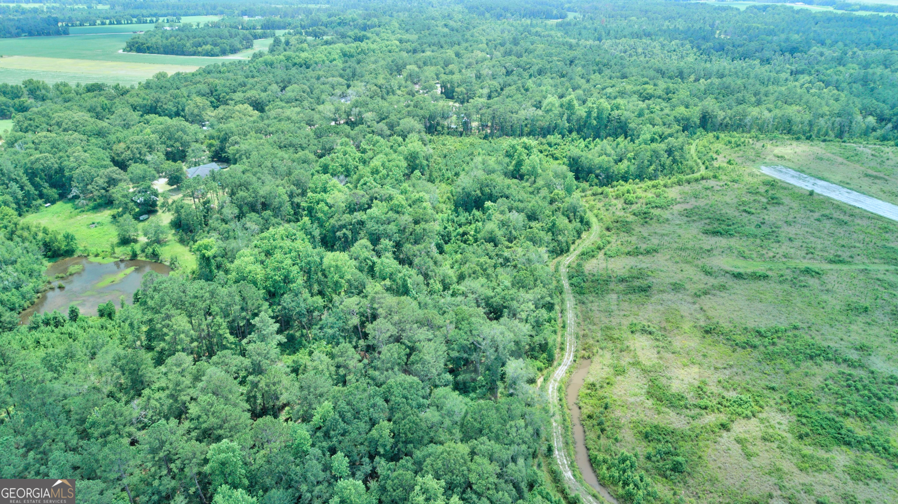 2009 Polk Road North Statesboro, GA 30458 - Photo 11 of 58