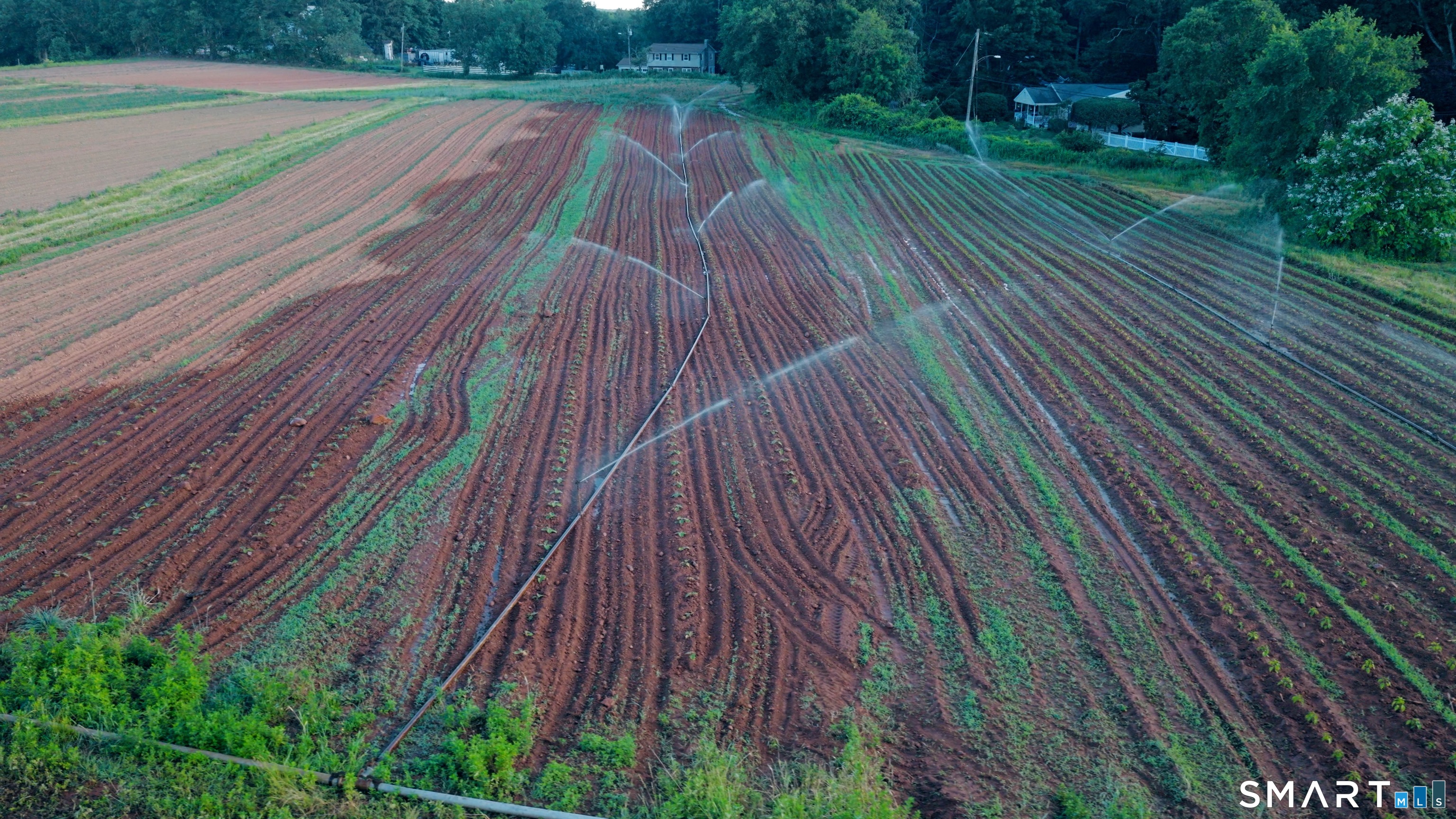 810 Dunbar Hill Road Hamden, CT 06514 - Photo 25 of 40 Fields irrigated by ponds on the farm.