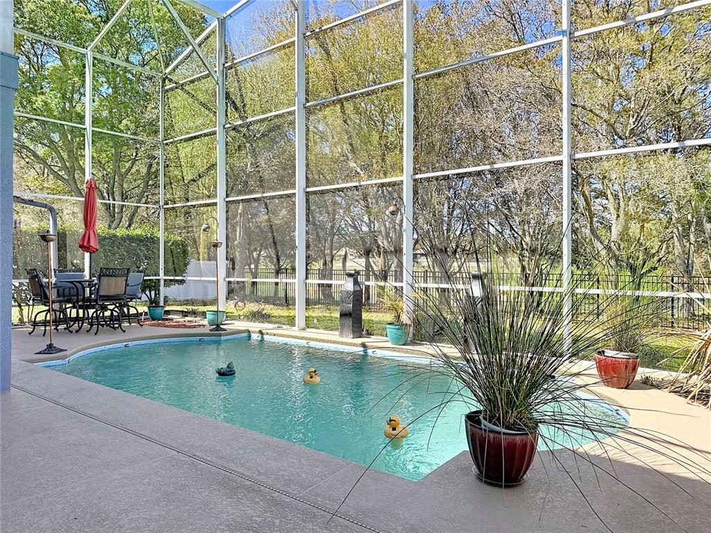 2048 Applegate Drive Ocoee, FL 34761 - Photo 27 of 61 a view of a swimming pool with a yard and sitting area