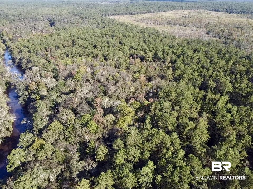 0 Country Road Vinegar Bend, AL 36584 - Photo 36 of 46