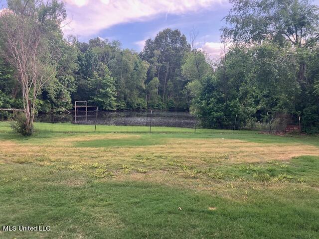 3065 Byhalia Road Hernando, MS 38632 - Photo 17 of 18 IMG_9805