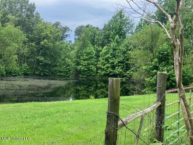 3065 Byhalia Road Hernando, MS 38632 - Photo 18 of 18 IMG_9795