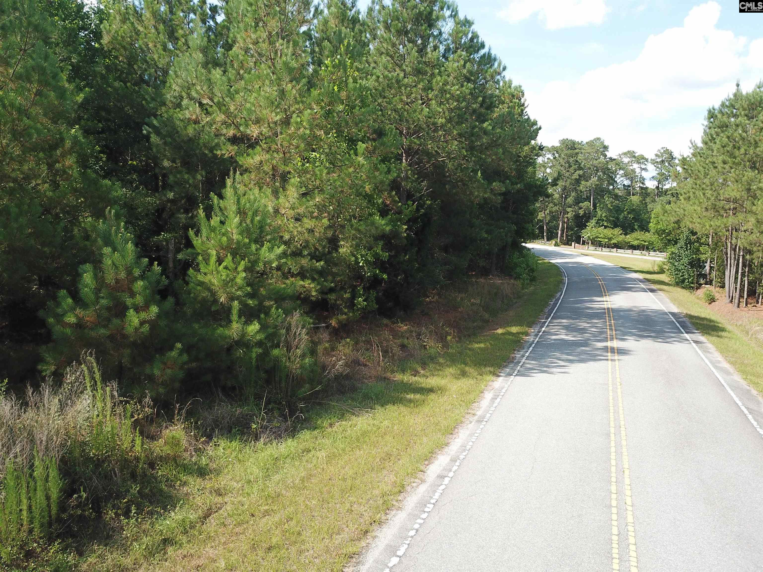 91 Shiver Road Rembert, SC 29128 - Photo 3 of 23