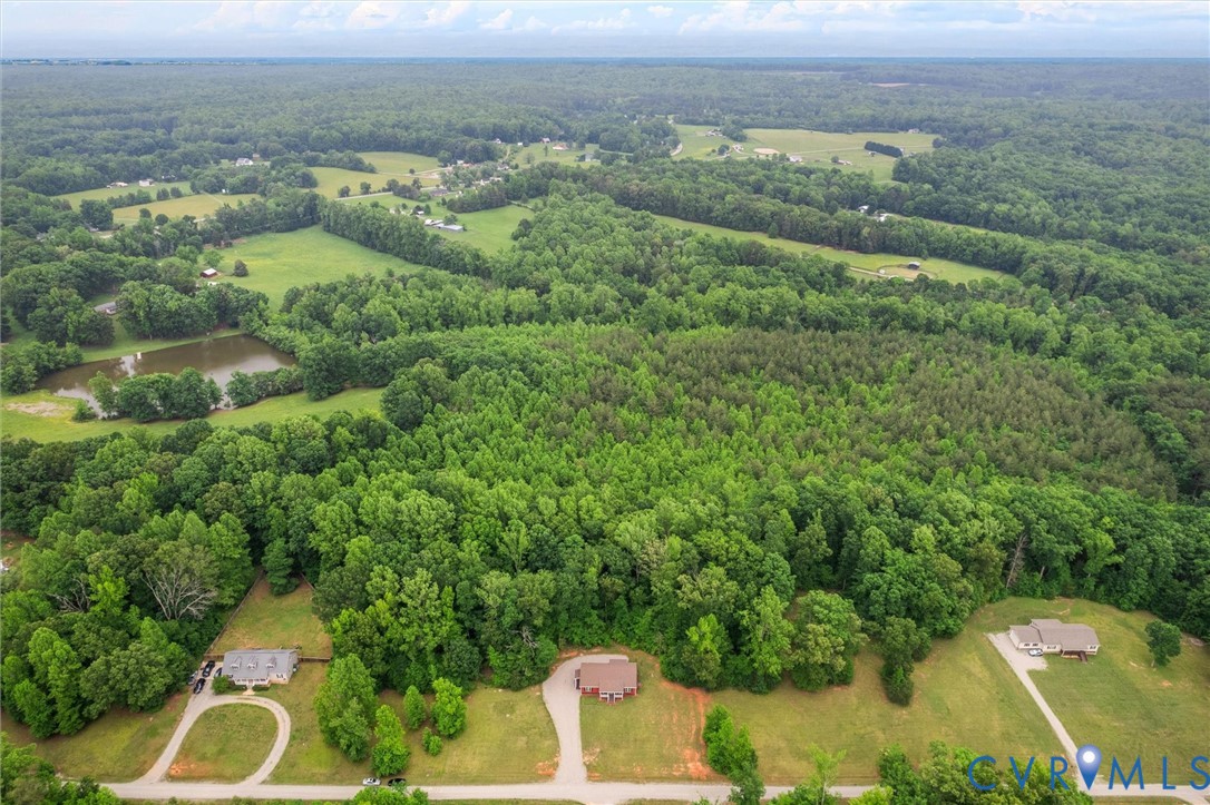 5239 Old Buckingham Road Powhatan, VA 23139 - Photo 6 of 50 an aerial view of a residential houses with outdoor space and trees