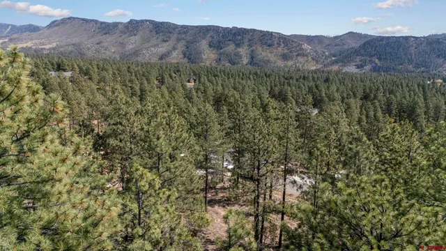 a view of a mountain range with lush green forest