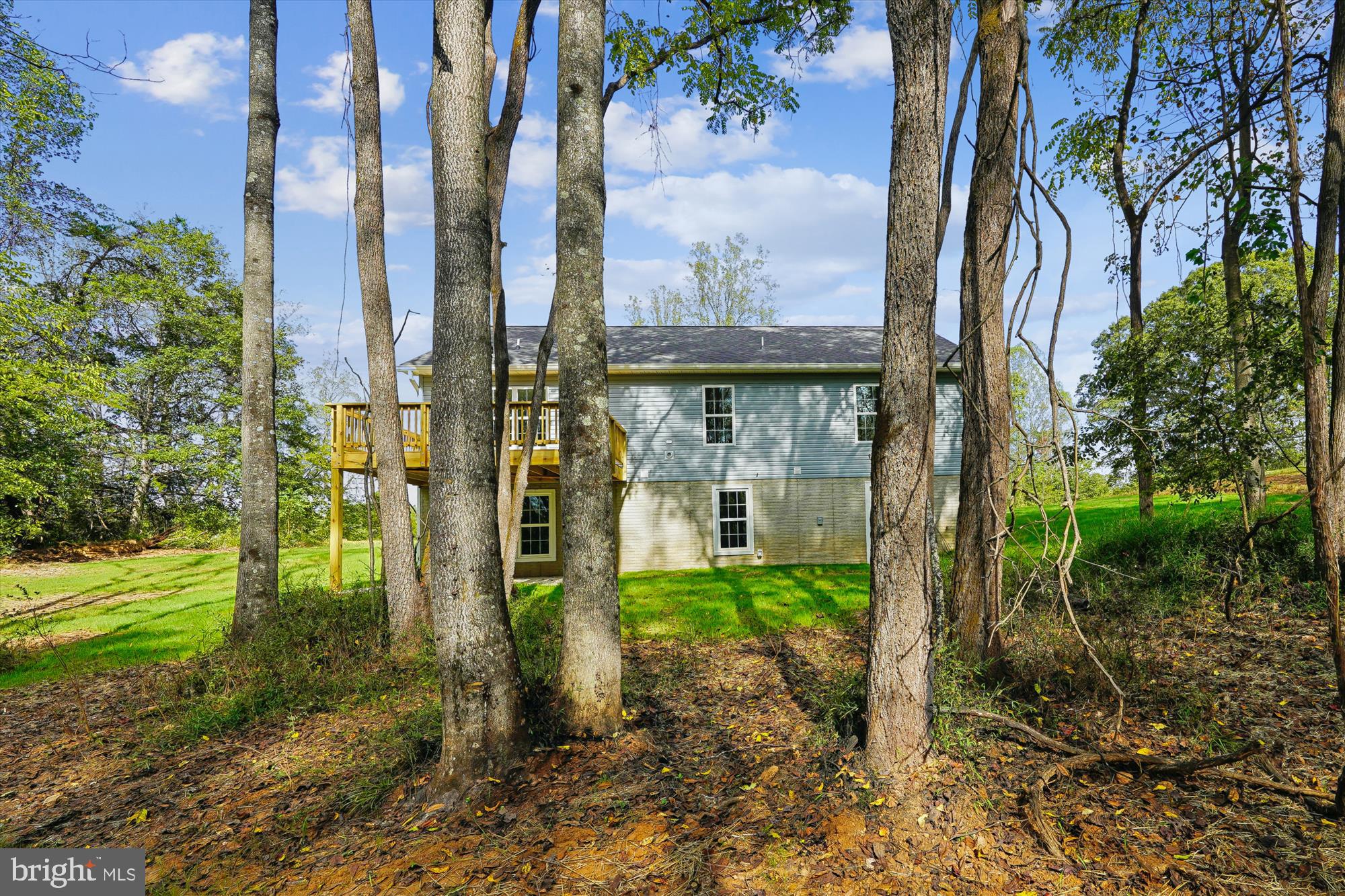 18342 Oak Shade Road Rixeyville, VA 22737 - Photo 13 of 67 Back Elevation