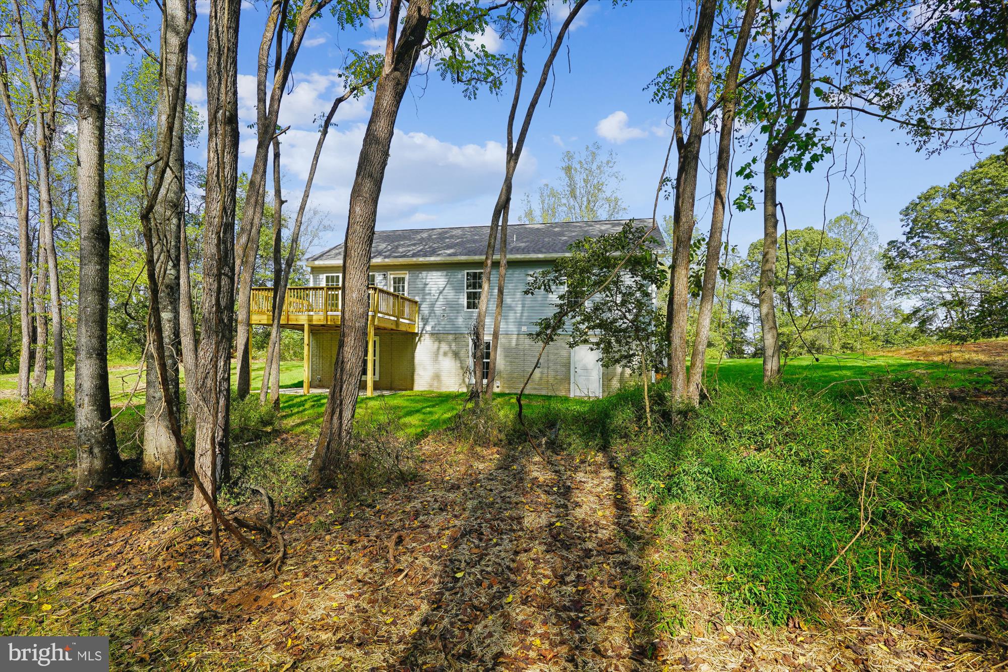 18342 Oak Shade Road Rixeyville, VA 22737 - Photo 15 of 67 Back Elevation