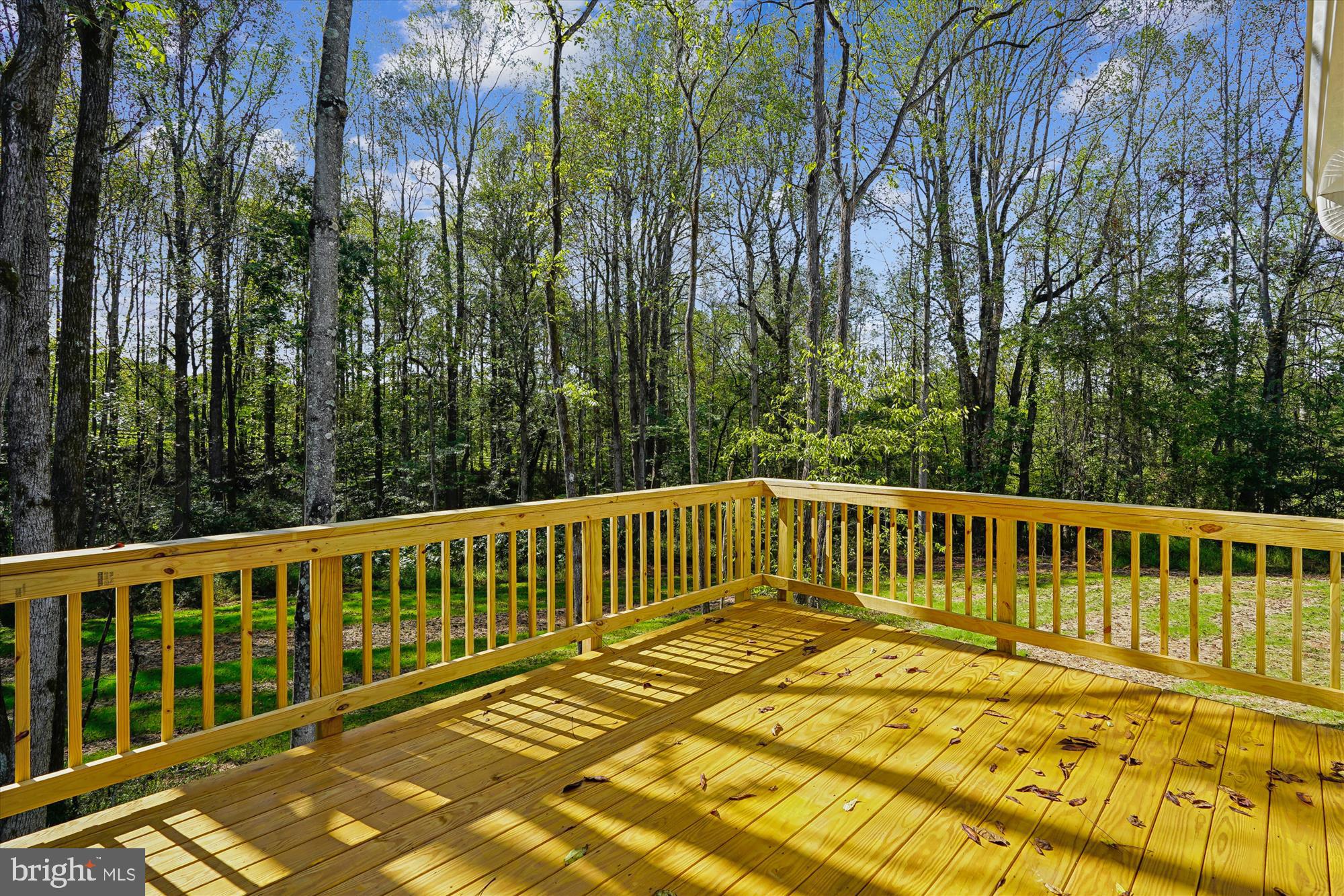 18342 Oak Shade Road Rixeyville, VA 22737 - Photo 17 of 67 Deck