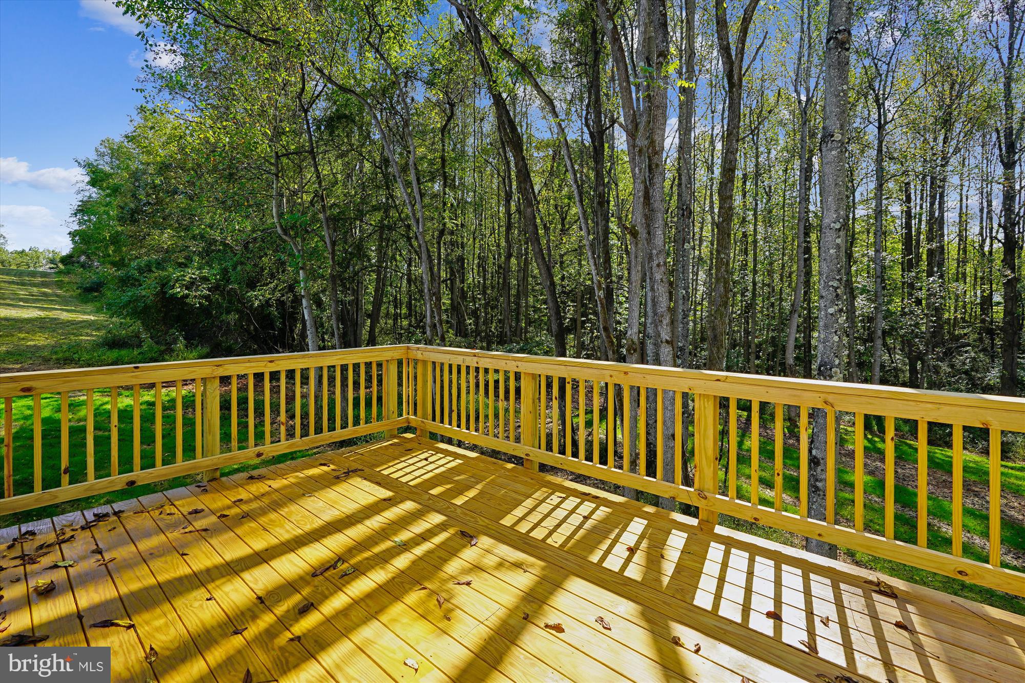 18342 Oak Shade Road Rixeyville, VA 22737 - Photo 18 of 67 Deck
