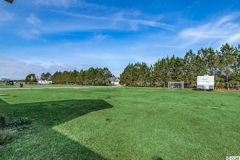 320 Frye Road Galivants Ferry, SC 29544 - Photo 28 of 33 Gallery Image 28