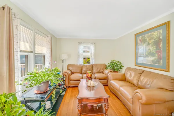 a living room with furniture and a potted plant