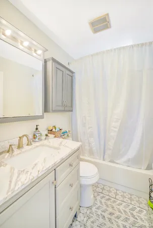 a bathroom with a sink a toilet and a shower