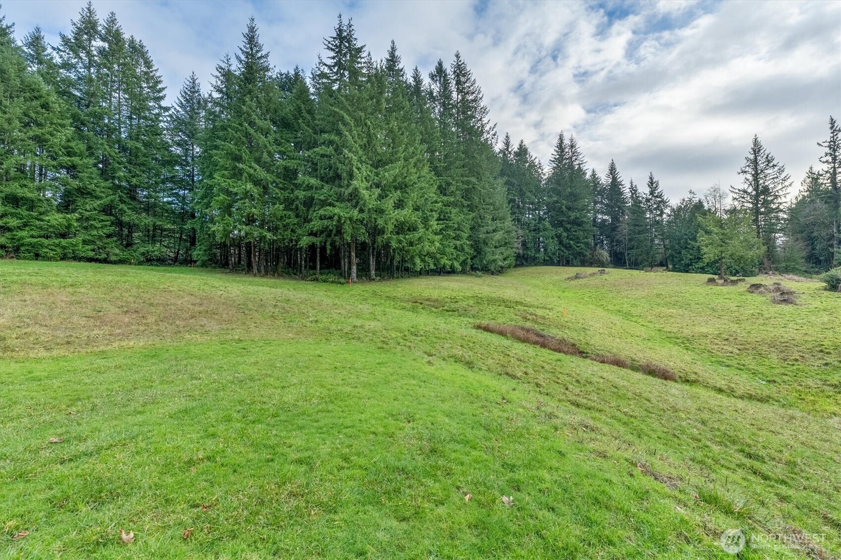 0 Bodine Road Kelso, WA 98626 - Photo 1 of 27 Gallery Image 1