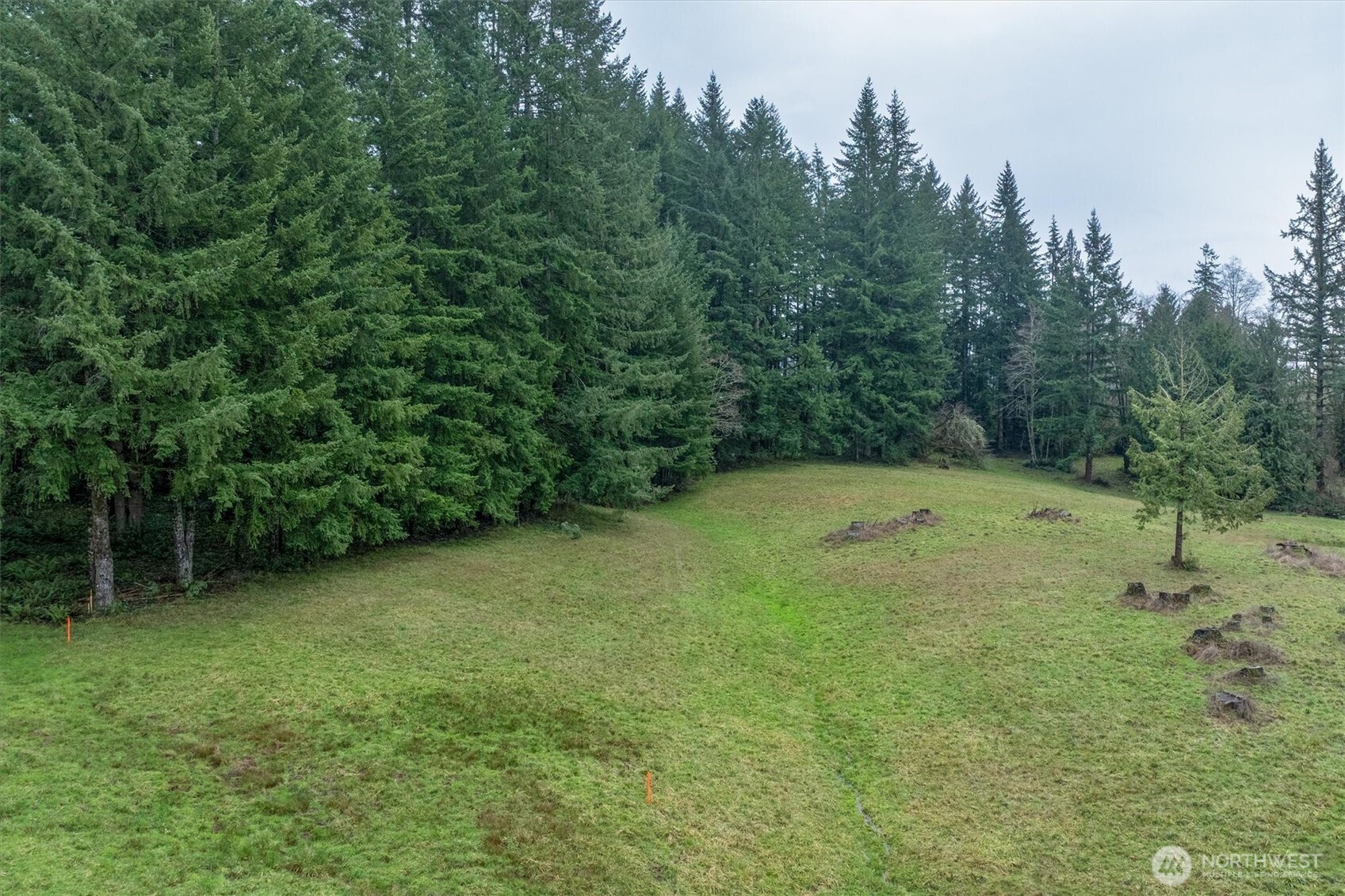 0 Bodine Road Kelso, WA 98626 - Photo 11 of 27 Gallery Image 11