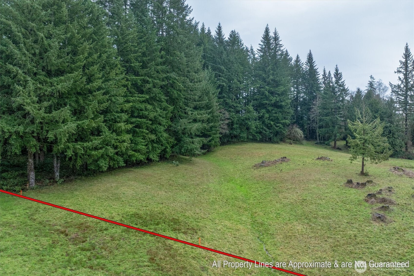 0 Bodine Road Kelso, WA 98626 - Photo 12 of 27 Gallery Image 12
