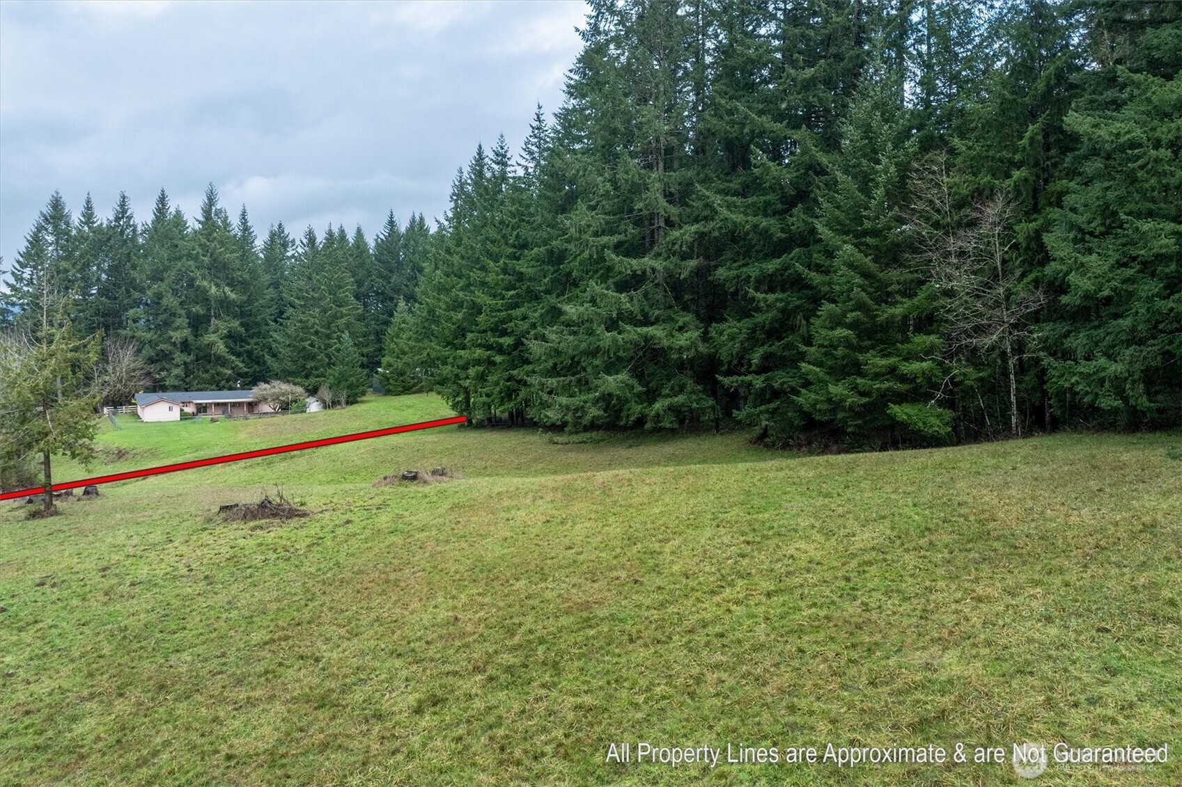 0 Bodine Road Kelso, WA 98626 - Photo 16 of 27 Gallery Image 16