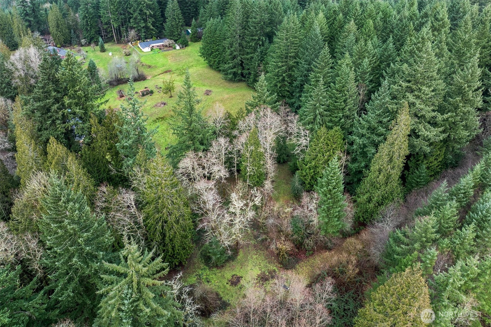 0 Bodine Road Kelso, WA 98626 - Photo 24 of 27 Gallery Image 24