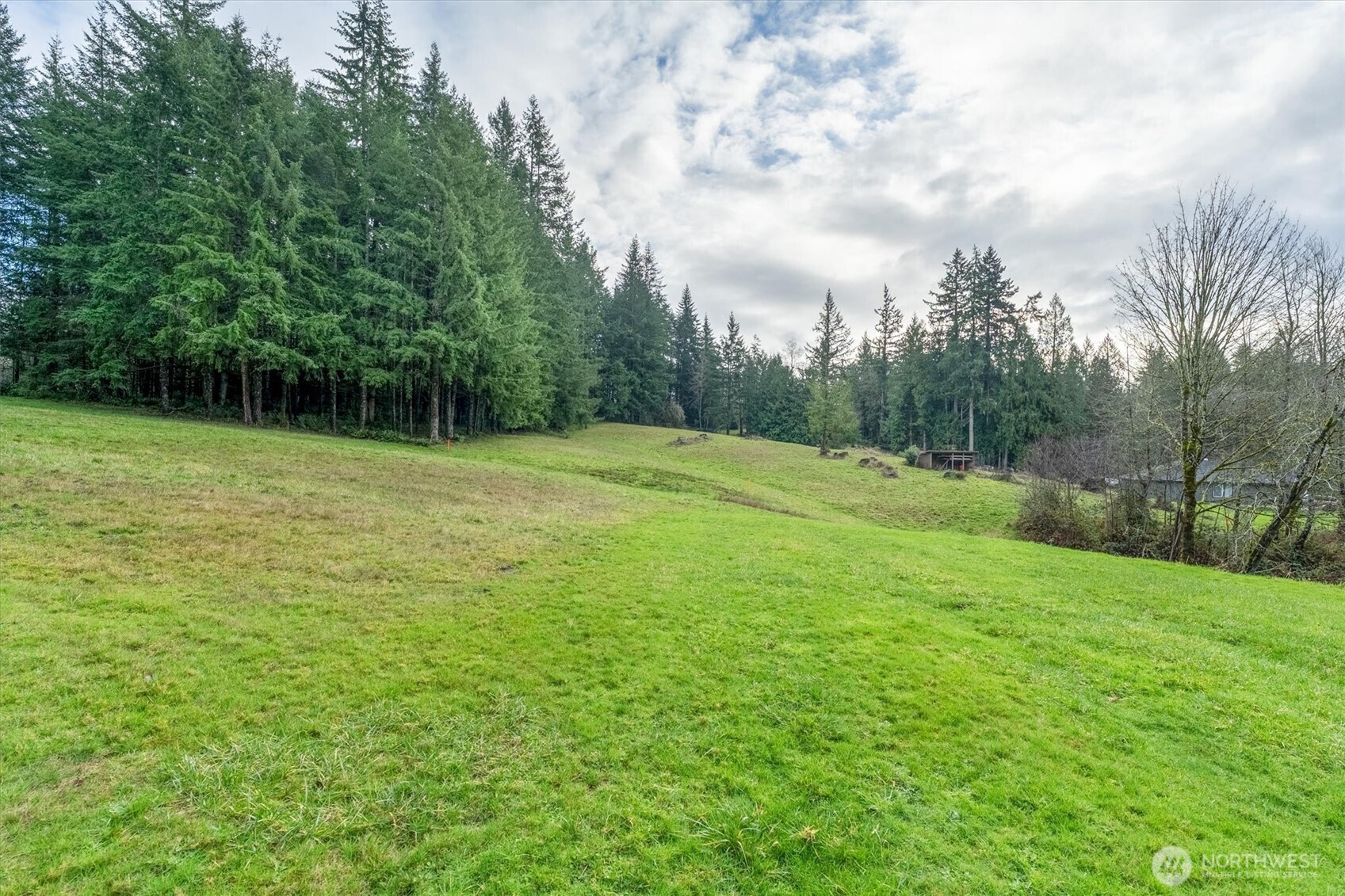 0 Bodine Road Kelso, WA 98626 - Photo 4 of 27 Gallery Image 4