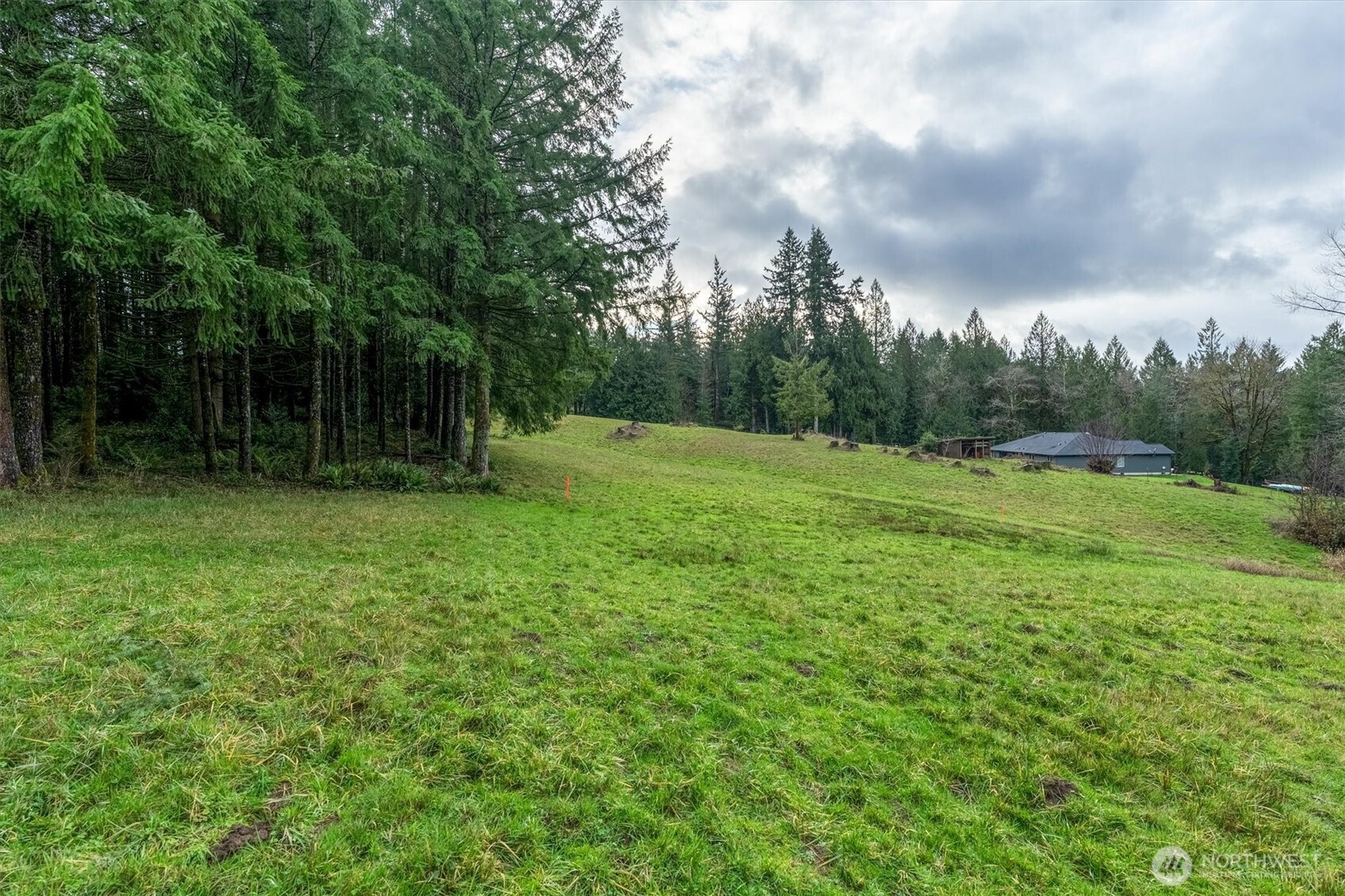 0 Bodine Road Kelso, WA 98626 - Photo 5 of 27 Gallery Image 5