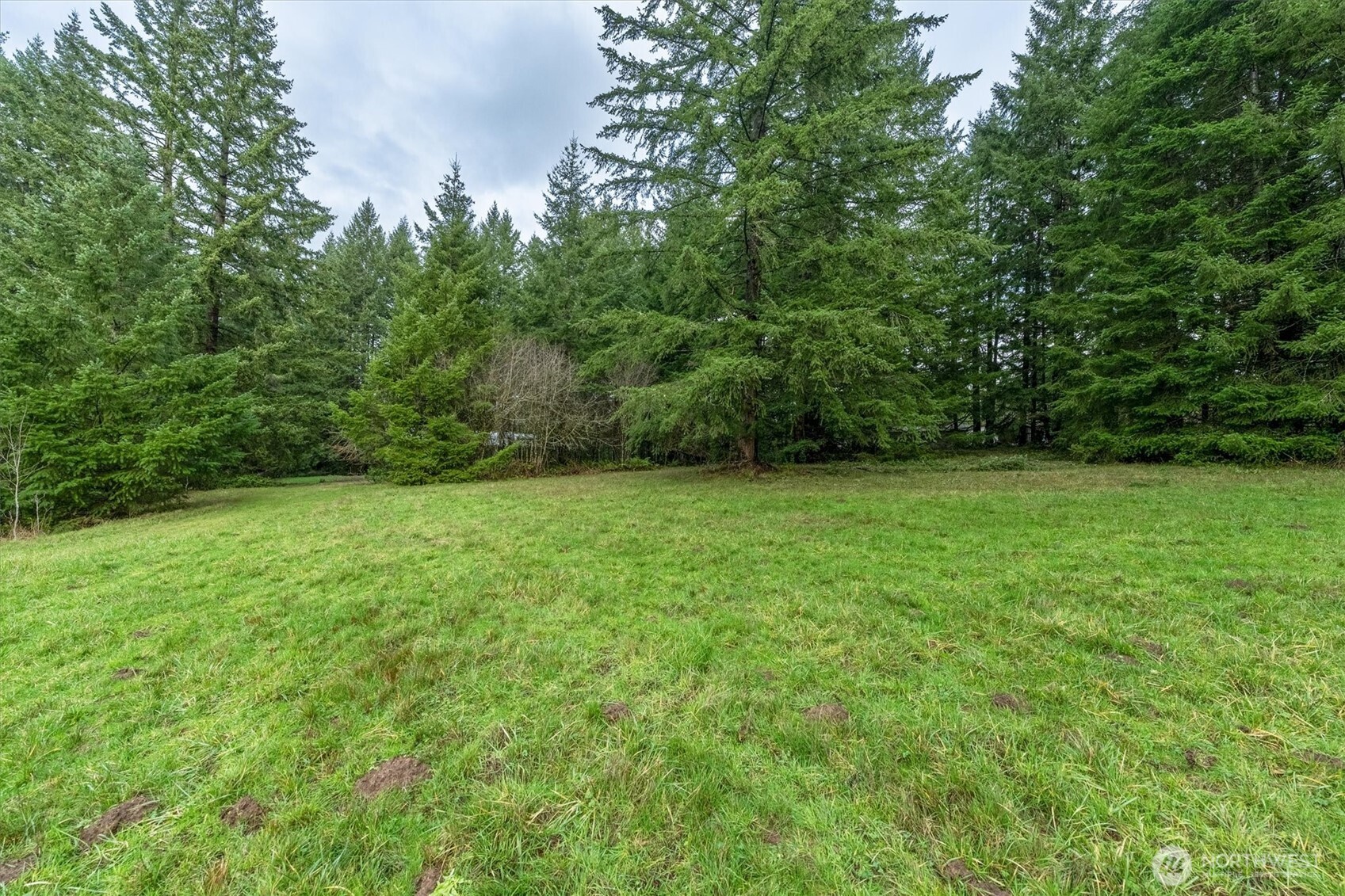 0 Bodine Road Kelso, WA 98626 - Photo 7 of 27 Gallery Image 7